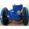 DIN Pn16 Dn65 Rubber Flapper Check Valve Factory